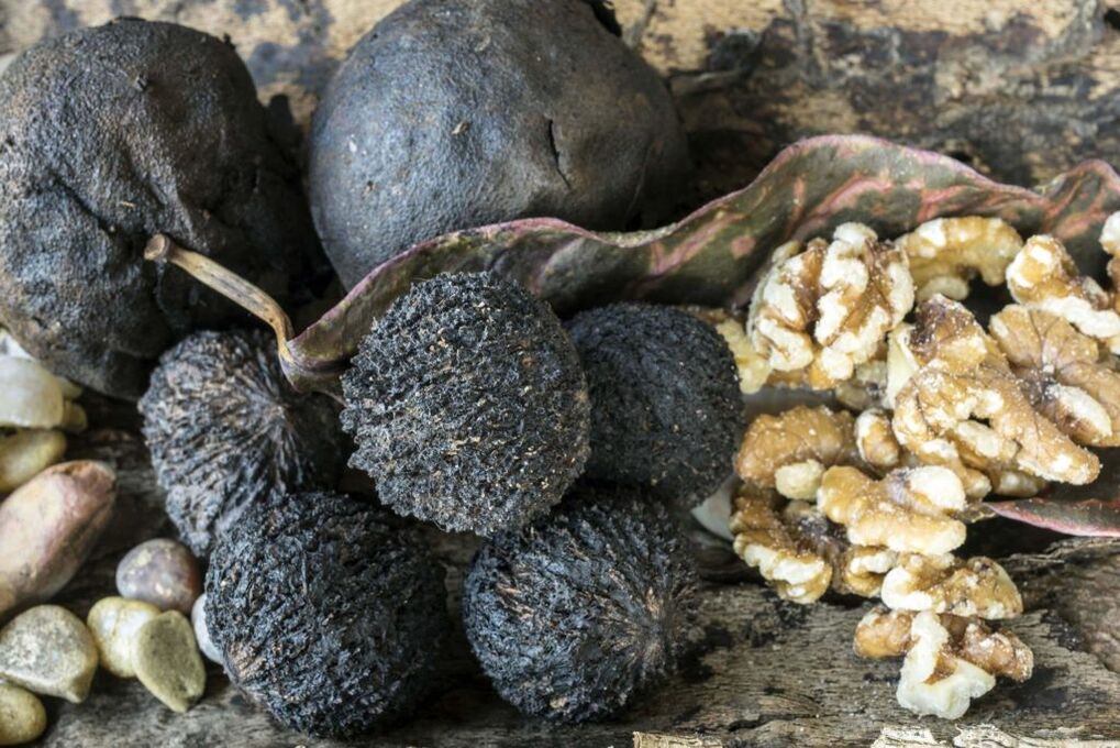papilloma black nut